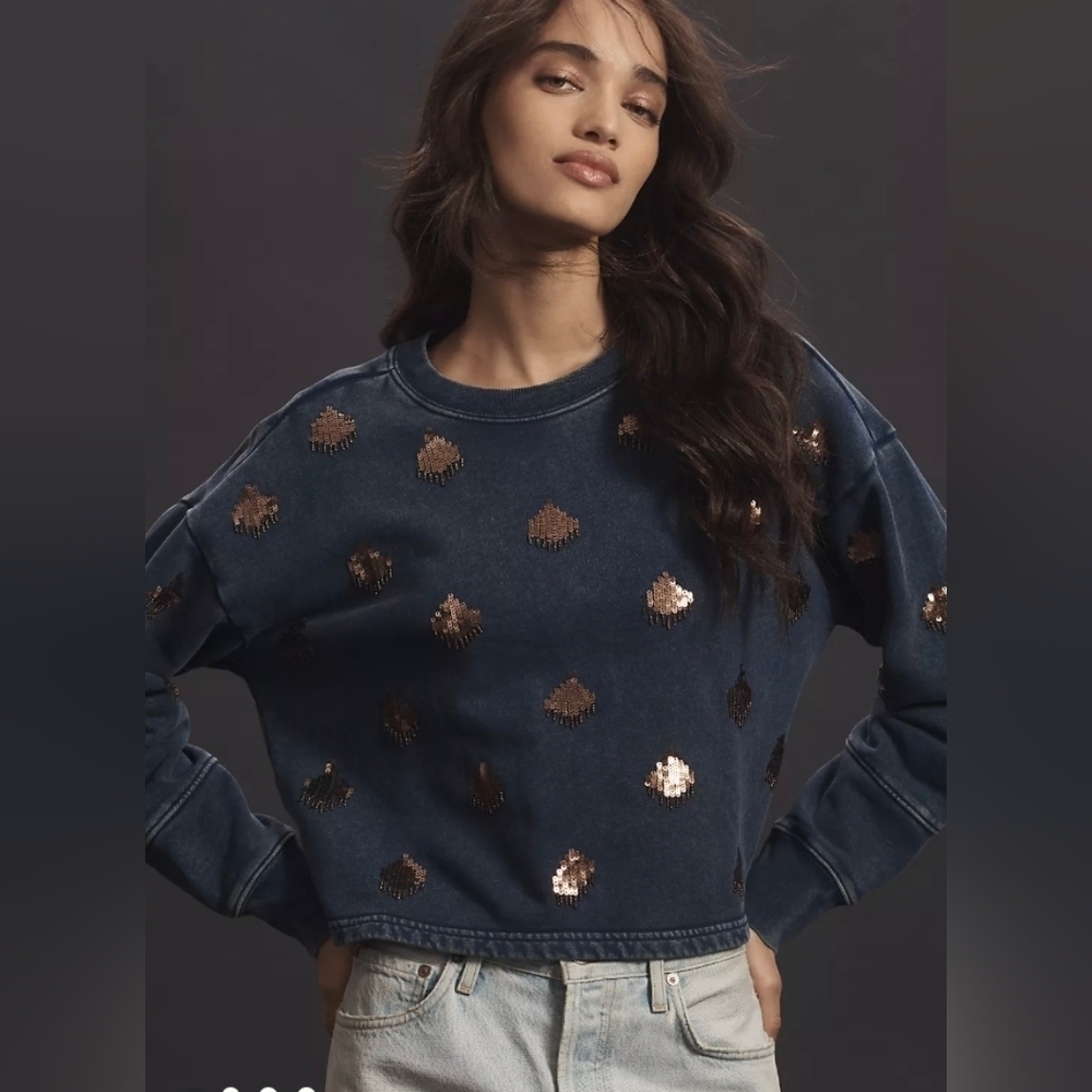Pilcro Blue Sequin Sweatshirt Fall Winter Size XXS